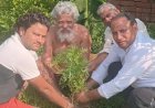 सपा का हर घर पौधा अभियान तेज, सुभानपुर में 251 पौधे रोपे