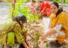 नूरपुर मुजविदा के सरकारी स्कूल में हरियाली का संकल्प, शिक्षिकाओं ने रोपे 50 पौधे