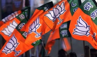 भाजपा विधायक ने की प्रदेश उपाध्यक्ष से मुलाकात