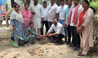 सेक्टर 53 में सपा ने चलाया पौधारोपण अभियान