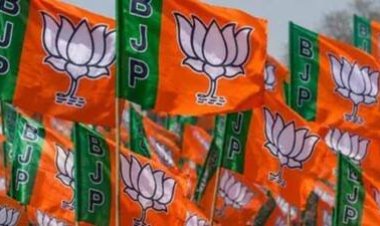 भाजपा ने किया जिला कार्यकर्ता सम्मेलन का आयोजन