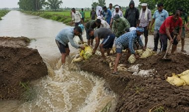 माइनर की तीन जगह पटरी टूटी, खेतों में घुसा पानी; बारिश के बीच किसानों ने खुद संभाला मोर्चा