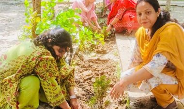 नूरपुर मुजविदा के सरकारी स्कूल में हरियाली का संकल्प, शिक्षिकाओं ने रोपे 50 पौधे