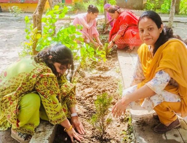 नूरपुर मुजविदा के सरकारी स्कूल में हरियाली का संकल्प, शिक्षिकाओं ने रोपे 50 पौधे