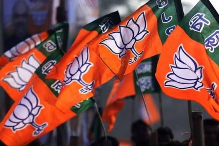 भाजपा विधायक ने की प्रदेश उपाध्यक्ष से मुलाकात