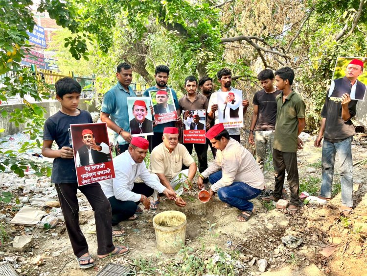 सपा ने किया वृक्षारोपण अभियान का आयोजन