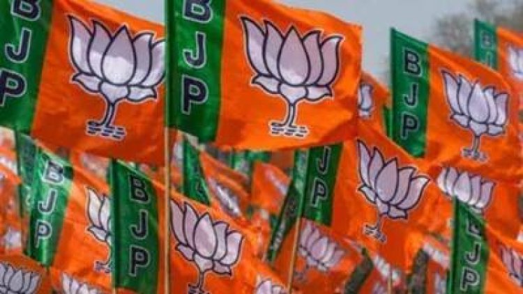 भाजपा ने किया जिला कार्यकर्ता सम्मेलन का आयोजन