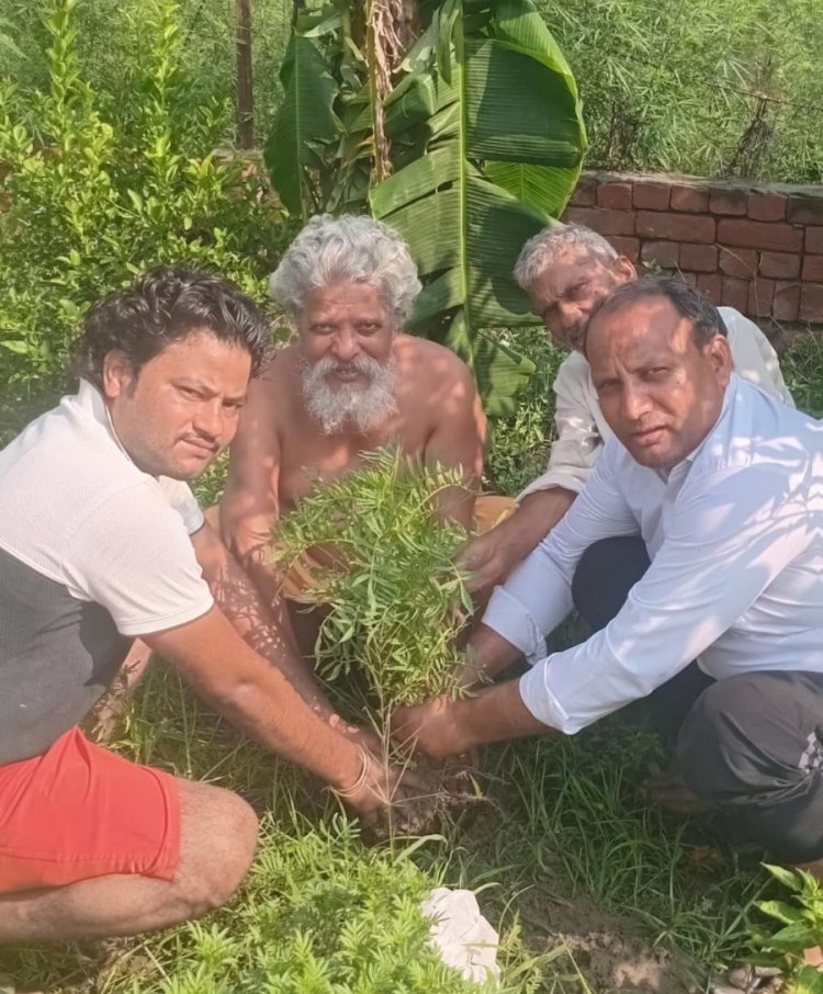सपा का हर घर पौधा अभियान तेज, सुभानपुर में 251 पौधे रोपे