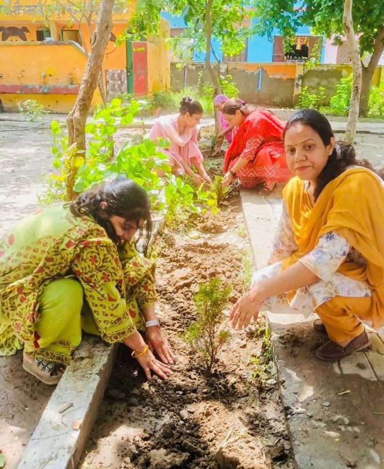 नूरपुर मुजविदा के सरकारी स्कूल में हरियाली का संकल्प, शिक्षिकाओं ने रोपे 50 पौधे