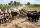 प्रतिबंधित भैंसा बोगी दौड़ में दो बोगियां टकराकर पलटीं, चार घायल
